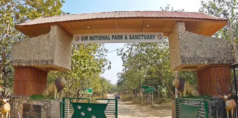 Gir Forest National Park, Junagadh, Gujarat - Vushii.com